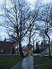 IMG_1140-natte boom.JPG